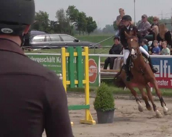 Großes Langenauer Reitturnier 2015