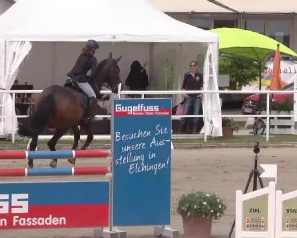 Großes Langenauer Reitturnier 2015