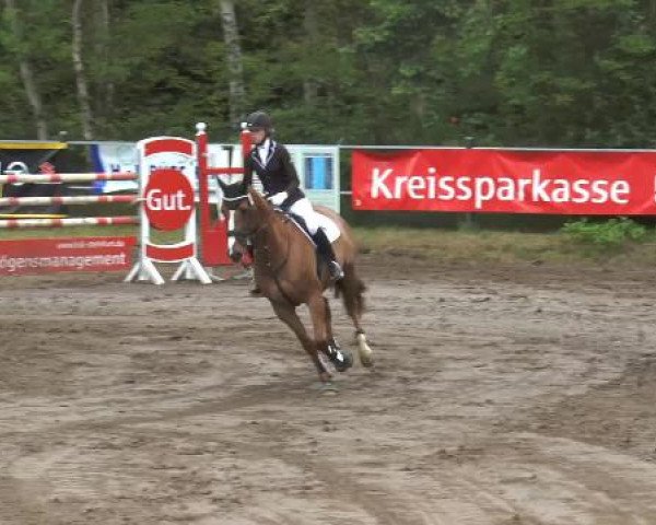 Pfingstturnier Mettingen 2015