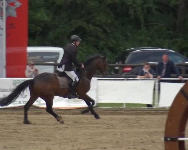 Frechen-Grefrath 2015