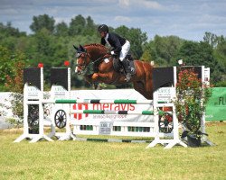 stallion Coredo M&M (Hanoverian, 2016, from Carridam)