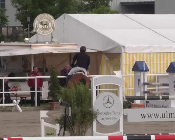 Großes Langenauer Reitturnier 2015