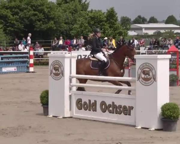 Großes Langenauer Reitturnier 2015