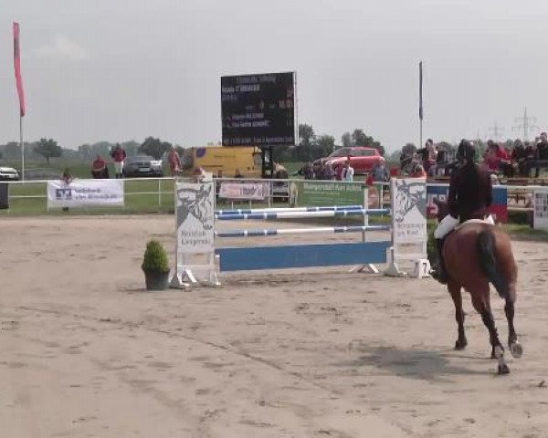 Großes Langenauer Reitturnier 2015