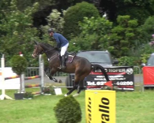 Reitturnier Willich-Anrath-Neersen 2015