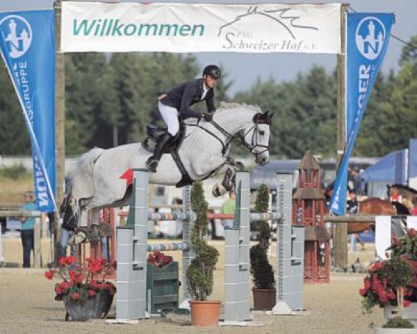jumper Commander 21 (Oldenburg, 2004, from Celano)