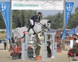 jumper Commander 21 (Oldenburg, 2004, from Celano)