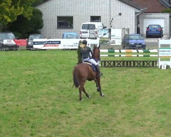 Reitturnier Willich-Anrath-Neersen 2015