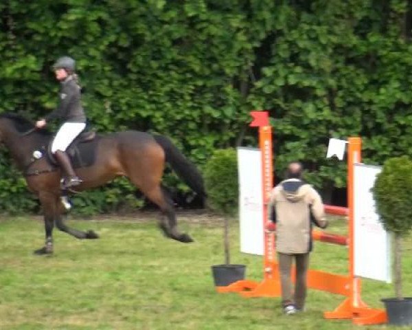 Reitturnier Willich-Anrath-Neersen 2015