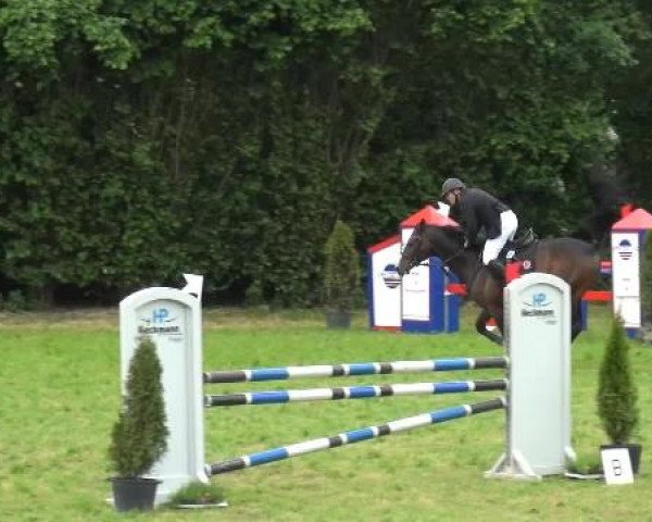 Reitturnier Willich-Anrath-Neersen 2015