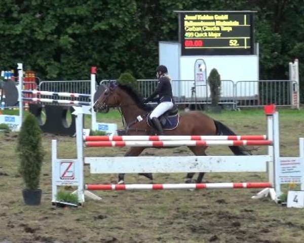 Reitturnier Willich-Anrath-Neersen 2015
