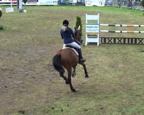Reitturnier Willich-Anrath-Neersen 2015