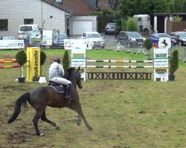 Reitturnier Willich-Anrath-Neersen 2015