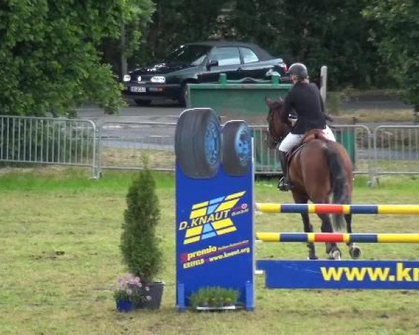 Reitturnier Willich-Anrath-Neersen 2015