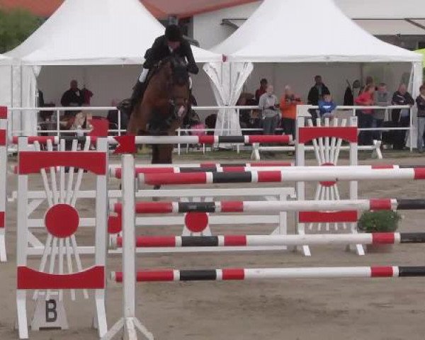 Großes Langenauer Reitturnier 2015