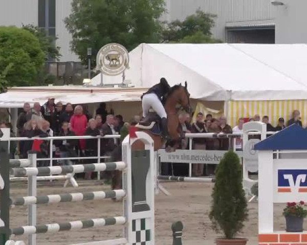 Großes Langenauer Reitturnier 2015