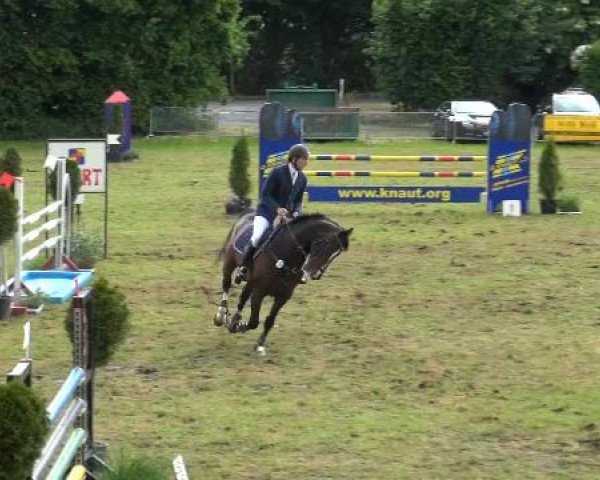 Reitturnier Willich-Anrath-Neersen 2015
