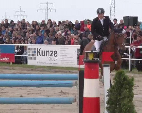 Großes Langenauer Reitturnier 2015