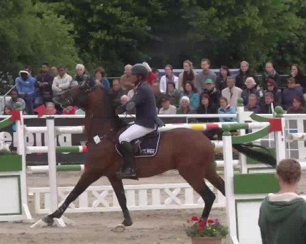 Großes Langenauer Reitturnier 2015