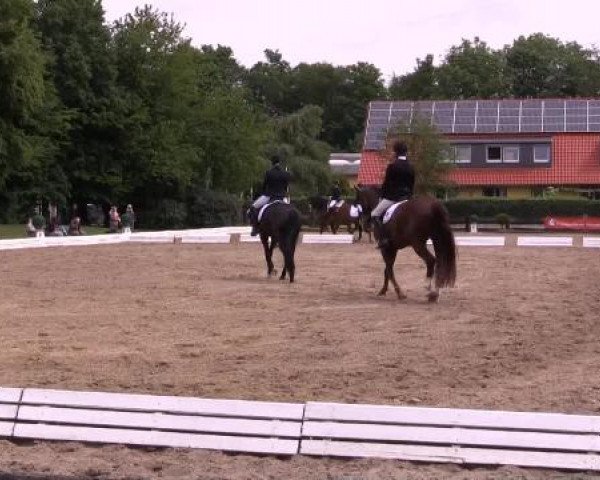 Sommerturnier des RuFV Wülfrath- Aprath 2015