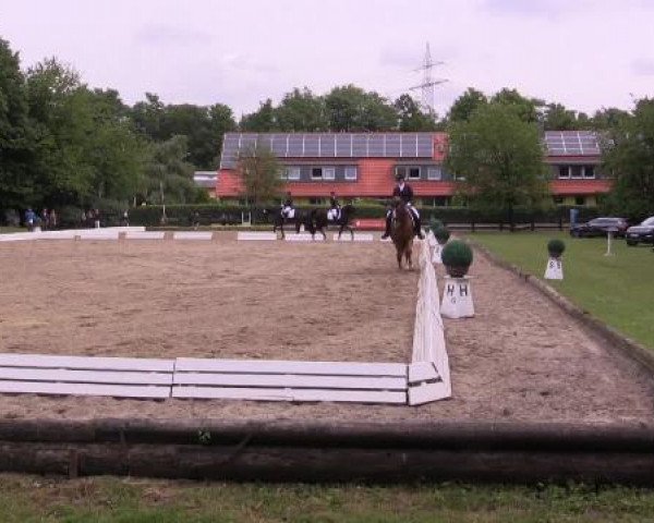Sommerturnier des RuFV Wülfrath- Aprath 2015