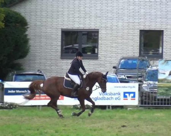 Reitturnier Willich-Anrath-Neersen 2015