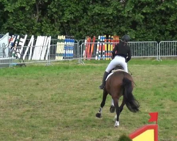 Reitturnier Willich-Anrath-Neersen 2015
