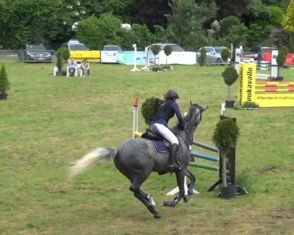 Reitturnier Willich-Anrath-Neersen 2015