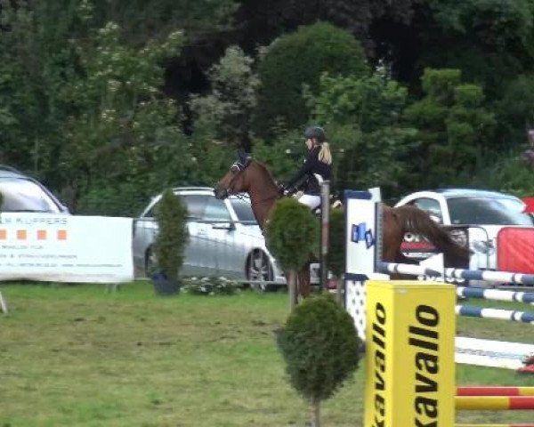 Reitturnier Willich-Anrath-Neersen 2015