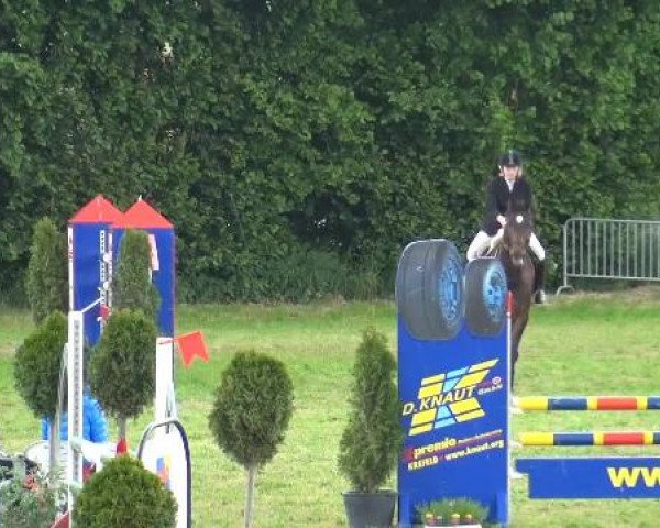 Reitturnier Willich-Anrath-Neersen 2015
