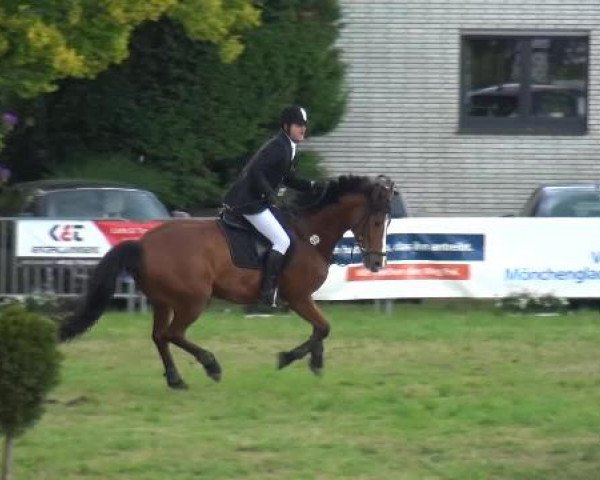Reitturnier Willich-Anrath-Neersen 2015