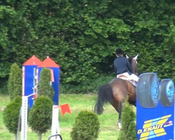 Reitturnier Willich-Anrath-Neersen 2015