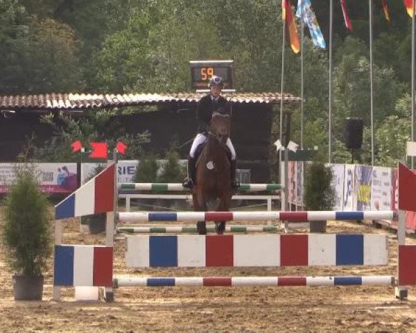 Reitturnier Bissendorf - Gut Stockum 2015