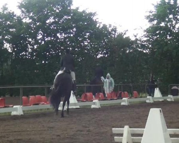 Reitturnier Willich-Anrath-Neersen 2015