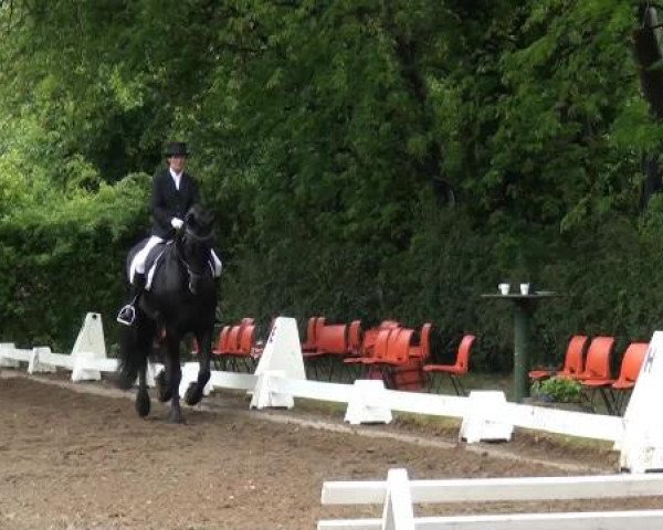 Reitturnier Willich-Anrath-Neersen 2015