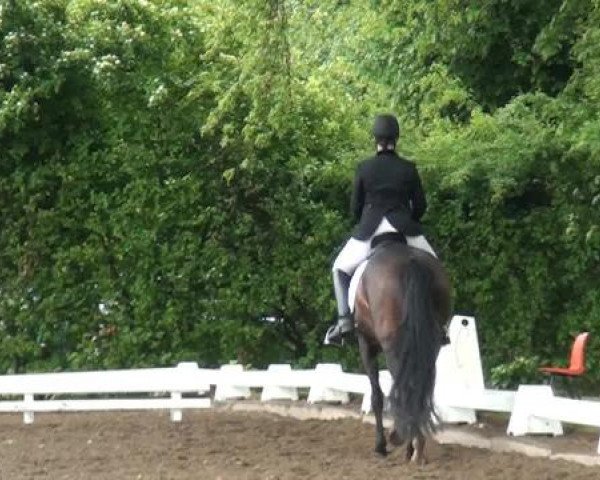 Reitturnier Willich-Anrath-Neersen 2015