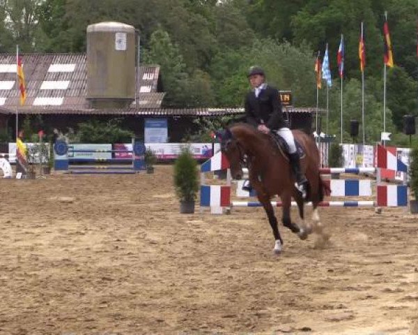 Reitturnier Bissendorf - Gut Stockum 2015