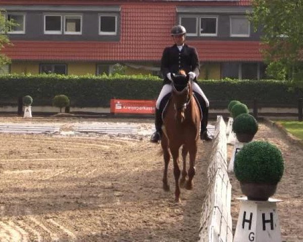 Sommerturnier des RuFV Wülfrath- Aprath 2015