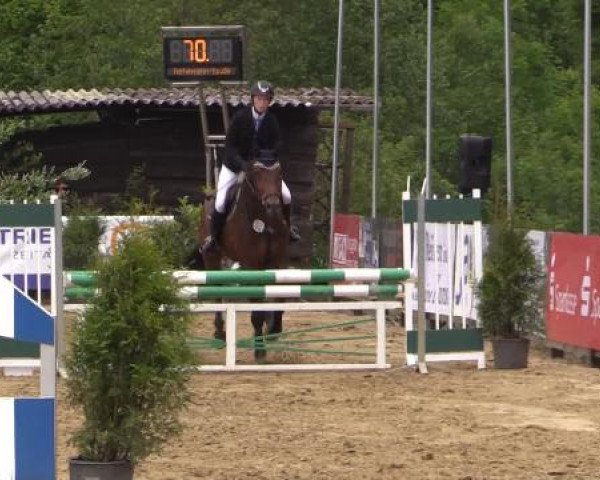 Reitturnier Bissendorf - Gut Stockum 2015