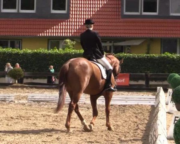 Sommerturnier des RuFV Wülfrath- Aprath 2015