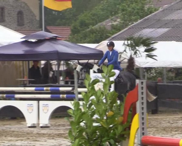 Reitturnier Bissendorf - Gut Stockum 2015