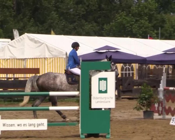 Reitturnier Bissendorf - Gut Stockum 2015