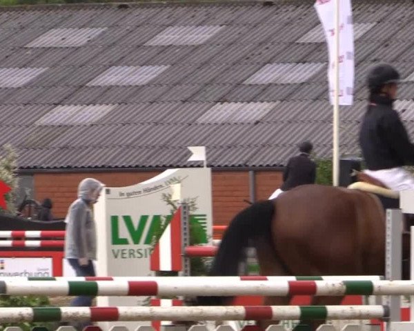 Reitturnier Bissendorf - Gut Stockum 2015