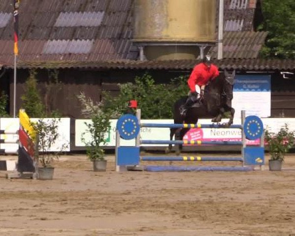 Reitturnier Bissendorf - Gut Stockum 2015