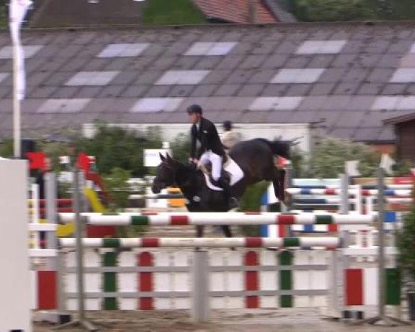 Reitturnier Bissendorf - Gut Stockum 2015