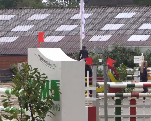 Reitturnier Bissendorf - Gut Stockum 2015
