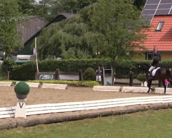 Sommerturnier des RuFV Wülfrath- Aprath 2015