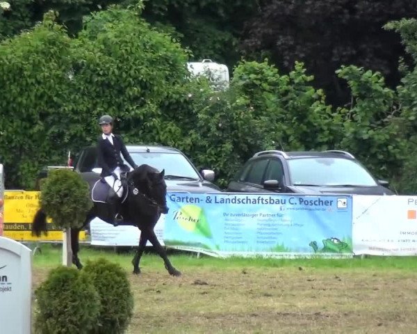 Reitturnier Willich-Anrath-Neersen 2015