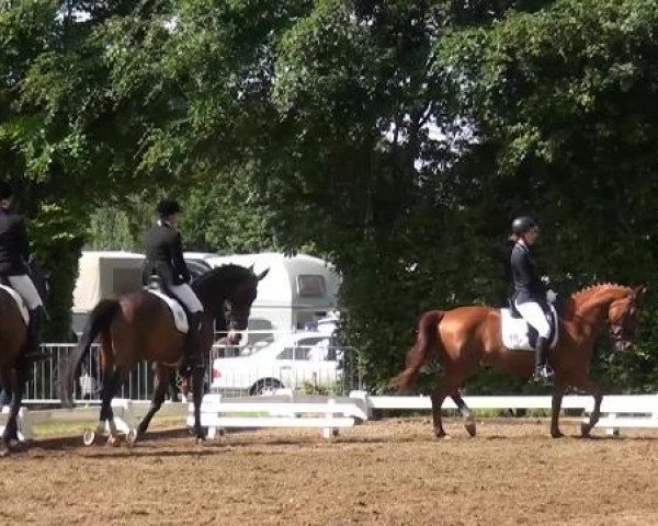 Reitturnier Willich-Anrath-Neersen 2015