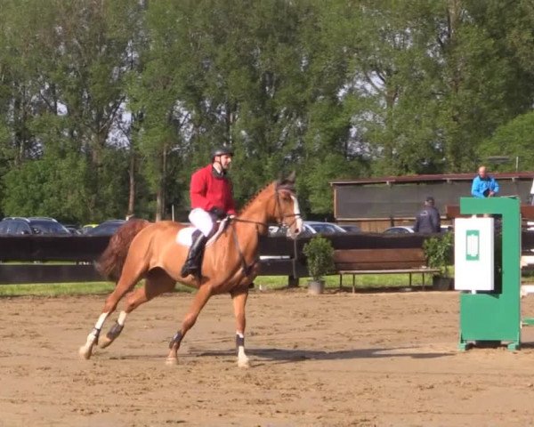 Reitturnier Bissendorf - Gut Stockum 2015